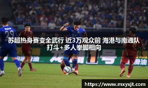苏超热身赛变全武行 近3万观众前 海港与南通队打斗+多人拳脚相向
